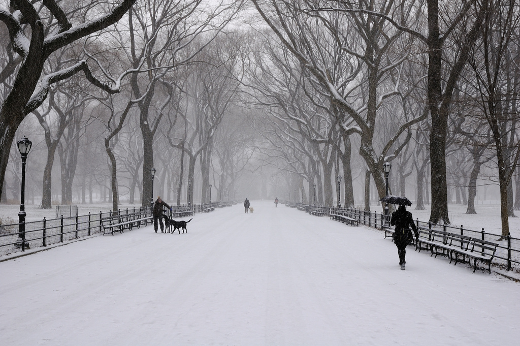 Record cold yesterday in New York