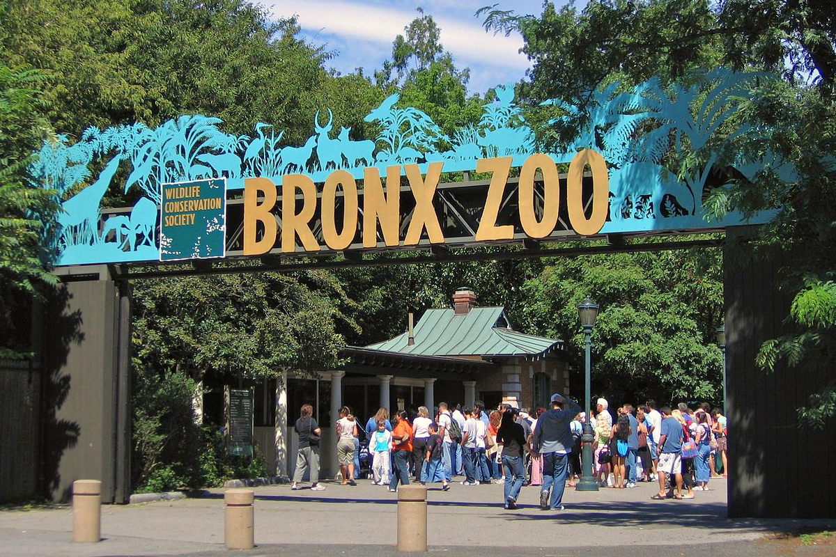 Explorez Le Zoo Du Bronx Le Plus Grand Zoo De New York C New York